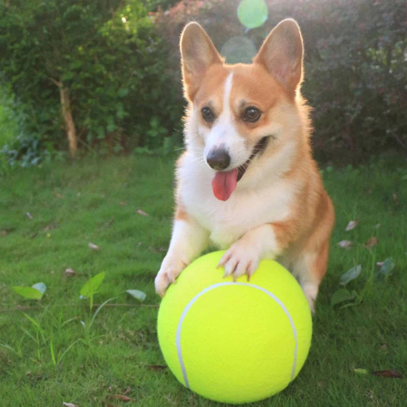 50% UIT JumboFetch - Gigantabal Reuze honden tennisbal