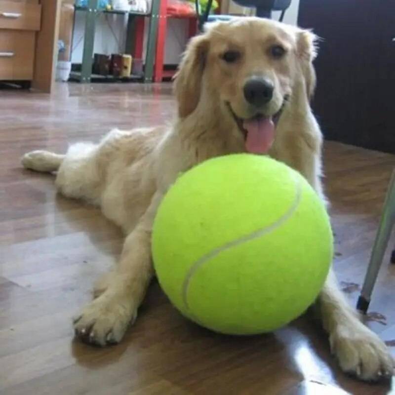 50% UIT JumboFetch - Gigantabal Reuze honden tennisbal